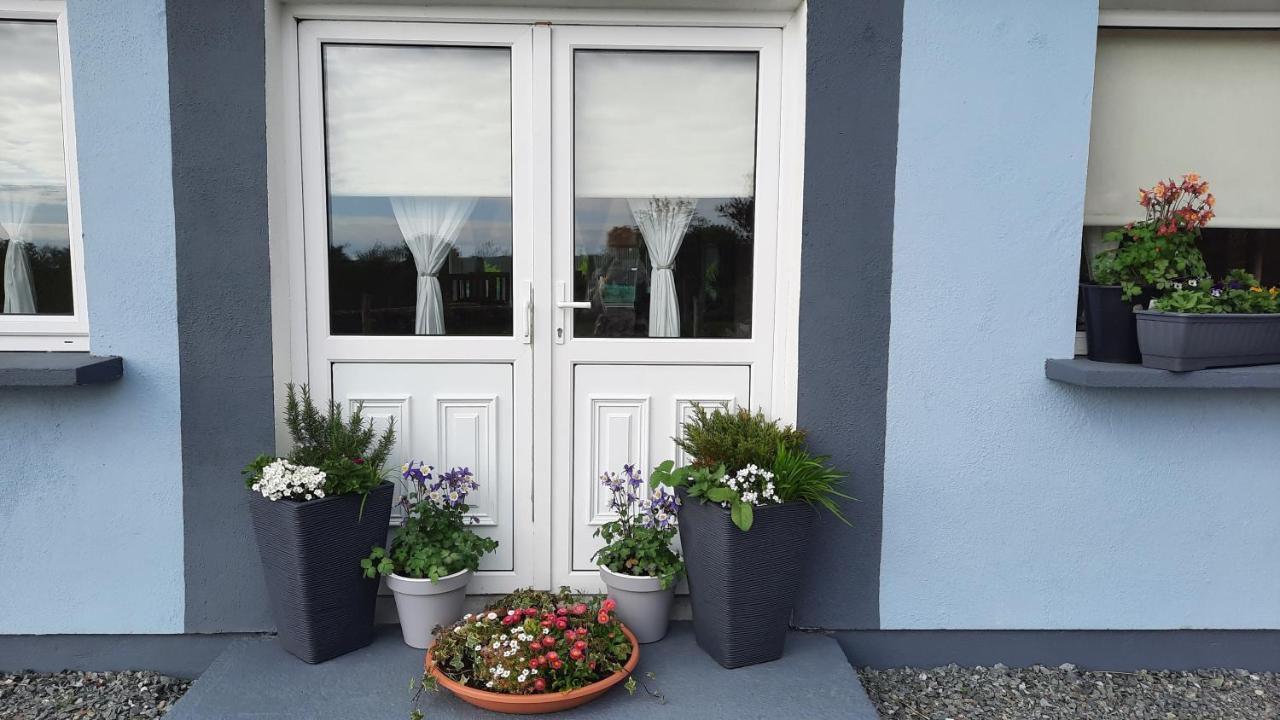 Clifden Wildflower Cottage - Clifden Countryside Lettings ภายนอก รูปภาพ