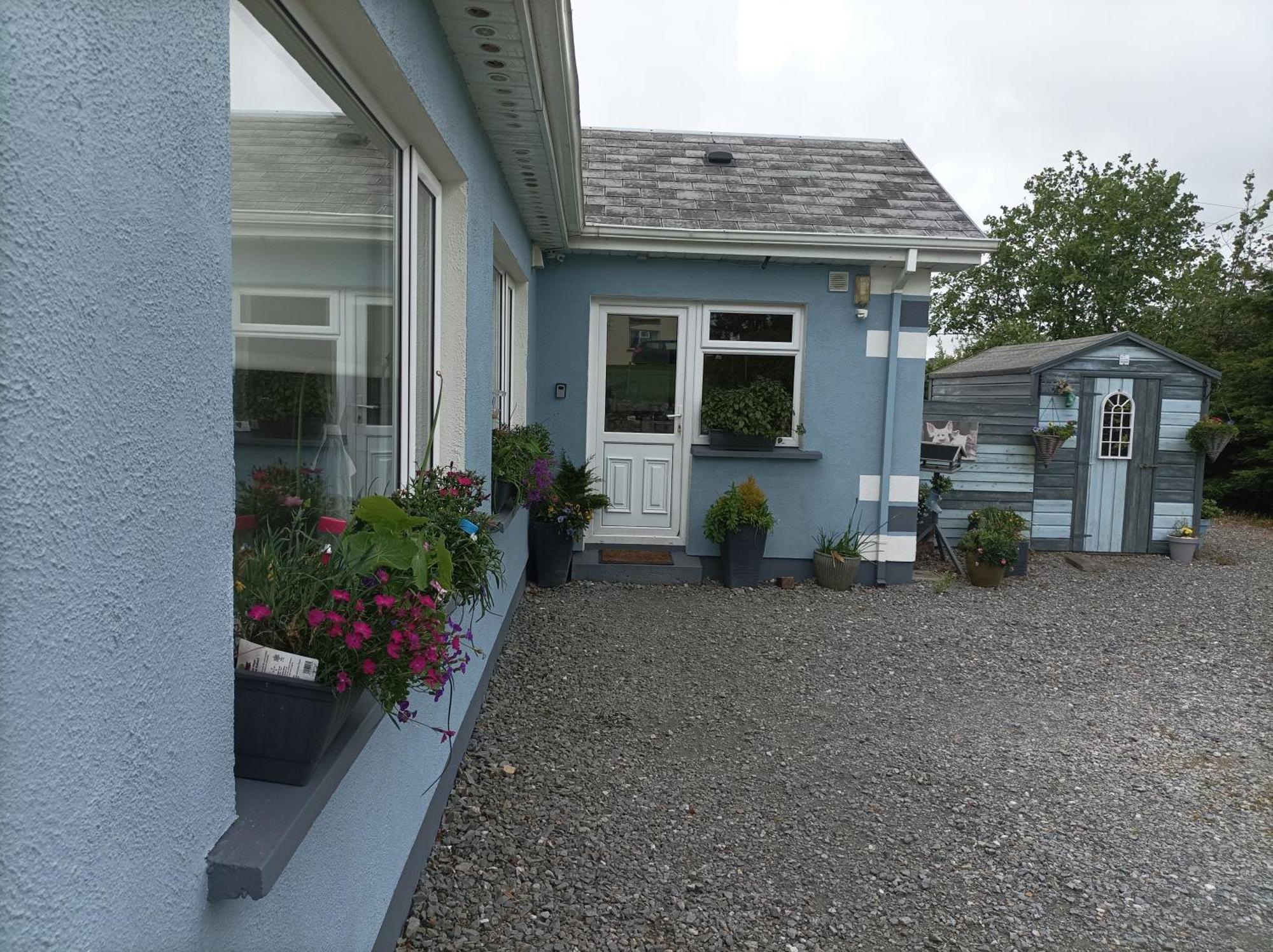 Clifden Wildflower Cottage - Clifden Countryside Lettings ภายนอก รูปภาพ