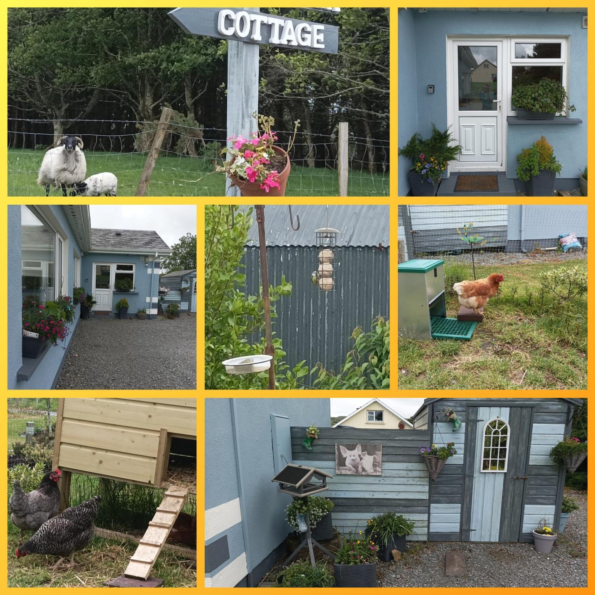 Clifden Wildflower Cottage - Clifden Countryside Lettings ภายนอก รูปภาพ
