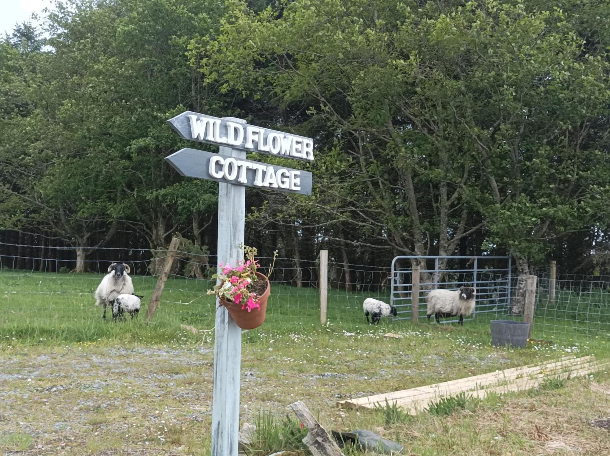 Clifden Wildflower Cottage - Clifden Countryside Lettings ภายนอก รูปภาพ